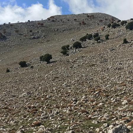 B&B Il Campanile Di Leone Pina San Lorenzo Bellizzi Bagian luar foto