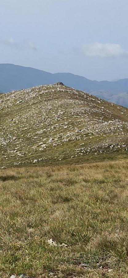 B&B Il Campanile Di Leone Pina San Lorenzo Bellizzi Bagian luar foto